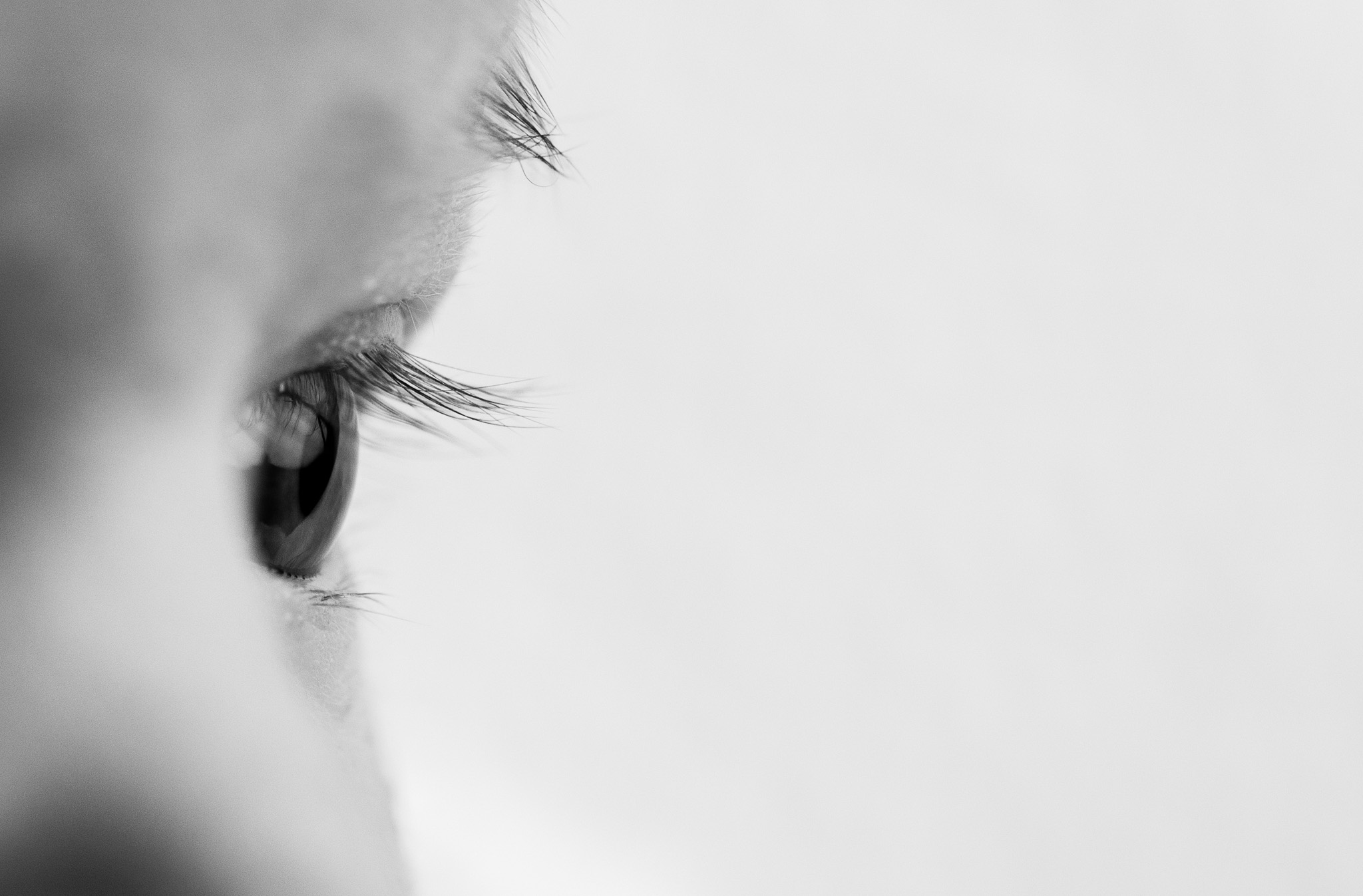 MacroImageswebsite-7