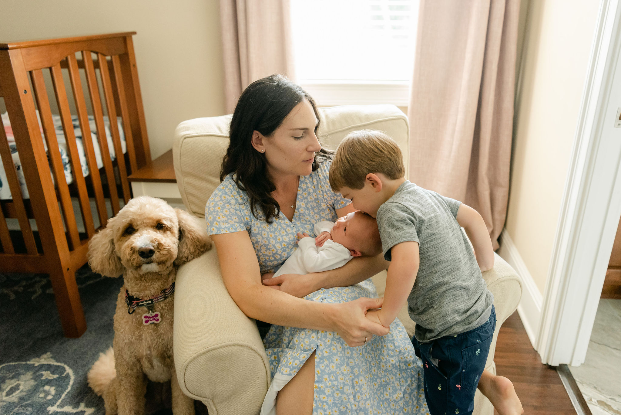 A mother holds her newborn baby in a white chair while their poodle sits next to her and her toddler son kisses the forehead of the newborn labor of love birth center